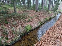Unikátní Schwarzenberský plavební kanál, sloužil k plavení dříví z pokácených stromů v těžce přístupných oblastech Šumavy.