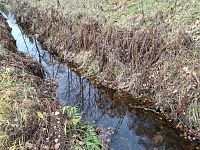 Palivovým a stavebním dřívím zásoboval především Vídeň.