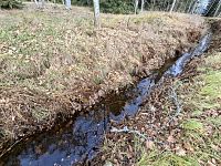 Na první pohled to na některých místech vypadá, že kanál kopíruje vrstevnici, voda v něm skoro neteče.