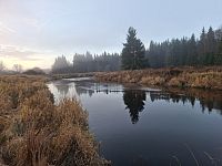 Studená je listopadová Vltava. Čekal jsem, že bude voda vlažná, když o kousek výš je soutok Teplé a Studené Vltavy.
