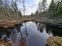 V televizi jsou například (pro dříve narozené) záběry za Trnkovým keřem či večerníčky Václava Chaloupky.