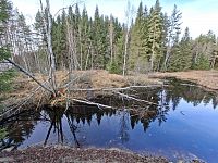 Těch filmů, pohádek a seriálů je samozřejmě více, kouzlo Silva Gabrety oslovilo mnoho režisérů a scénáristů.