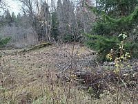 Jeřáb obecný, javor klen, smrk, bříza, jedle, paratka horská, suchopýr pochvatý, vlochyně, klikva, přeslička, borůvka, dvouhrotec chvostnatý, …