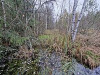 Výše uvedené, a ještě mnohem více by tady někde mělo být, jenom, kdyby to člověk poznal.