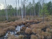 Šumava je mytické pohoří, plné ponurých močálů, temných lesů a tajemných míst. Tajuplná Silva Gabreta.