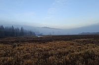 Mrazení v zádech se určitě dostaví, když se vydávám cestou necestou. Šumava byla odjakživa zasvěcená magii.