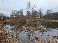 Drsnou šumavskou krajinou se nese kvílející zvuk chladného větru a ve vzduchu je cítit zvláštní napětí.