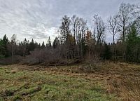 Šumavu už sice trochu znám, přesto se stále rozhlížím do všech stran.