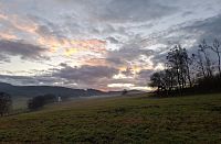 Krásný strom, krásnější je les, jaký příběh mi Šumava pošeptá dnes.