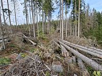 Minulost je přítomna na každém kroku. Stačí ji vpustit ji do sebe a pozorně vnímat podněty, které nás k ní zavedou.