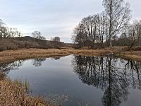 Lesy šumavské jsou zde takřka osm tisíc let. Snad přežijí lidské hospodaření i pokusy o jejich záchranu.