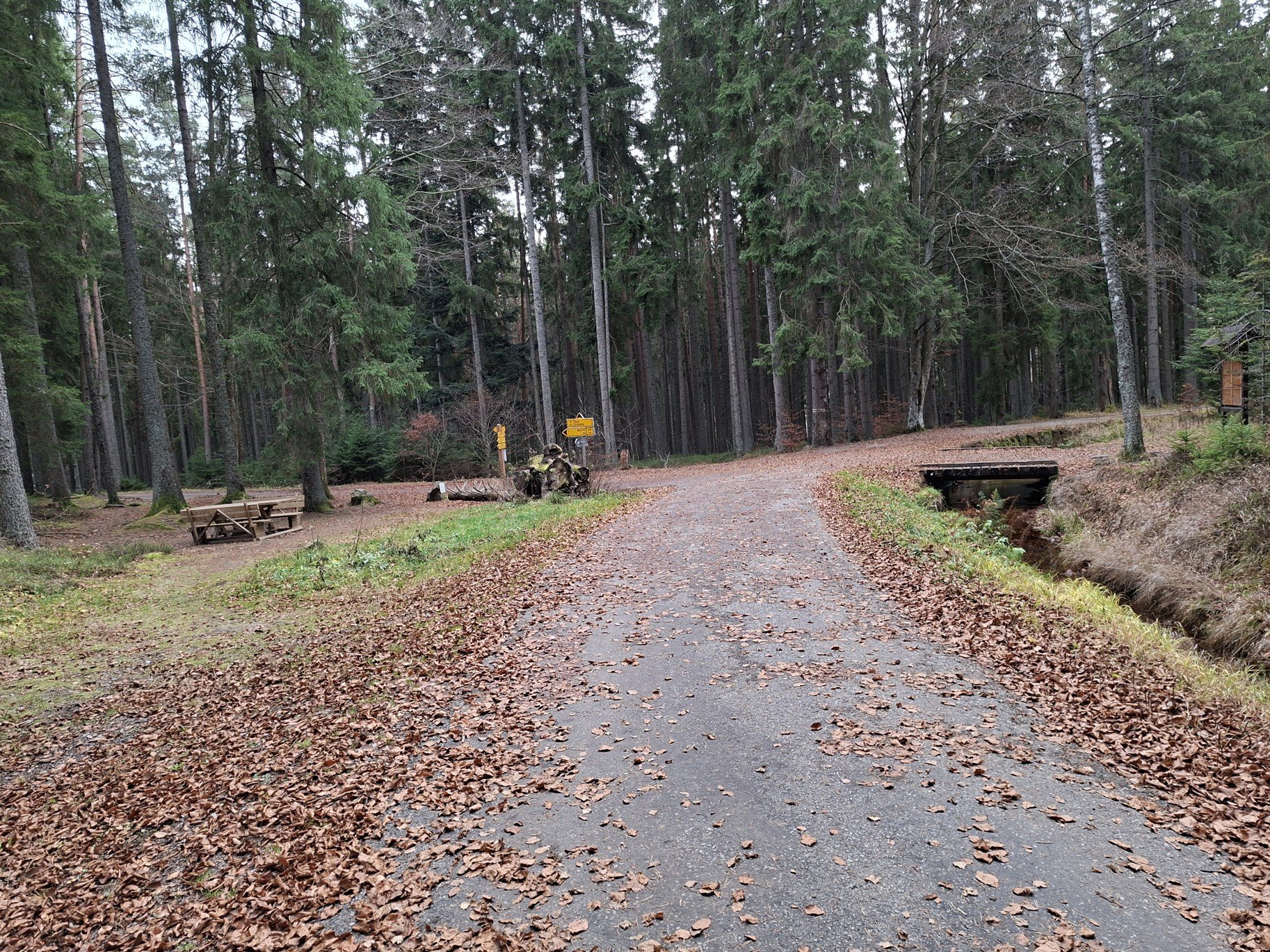 Obrázky ze Šumavy a turistický rozcestník Raškova – Schwarzenberský kanál