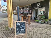 Obrázky ze Šumavy a kavárna Café Kočky v městě Horní Planá