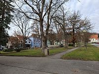 Obrázky ze Šumavy a kašna (bez medvěda) ve městě Horní Planá