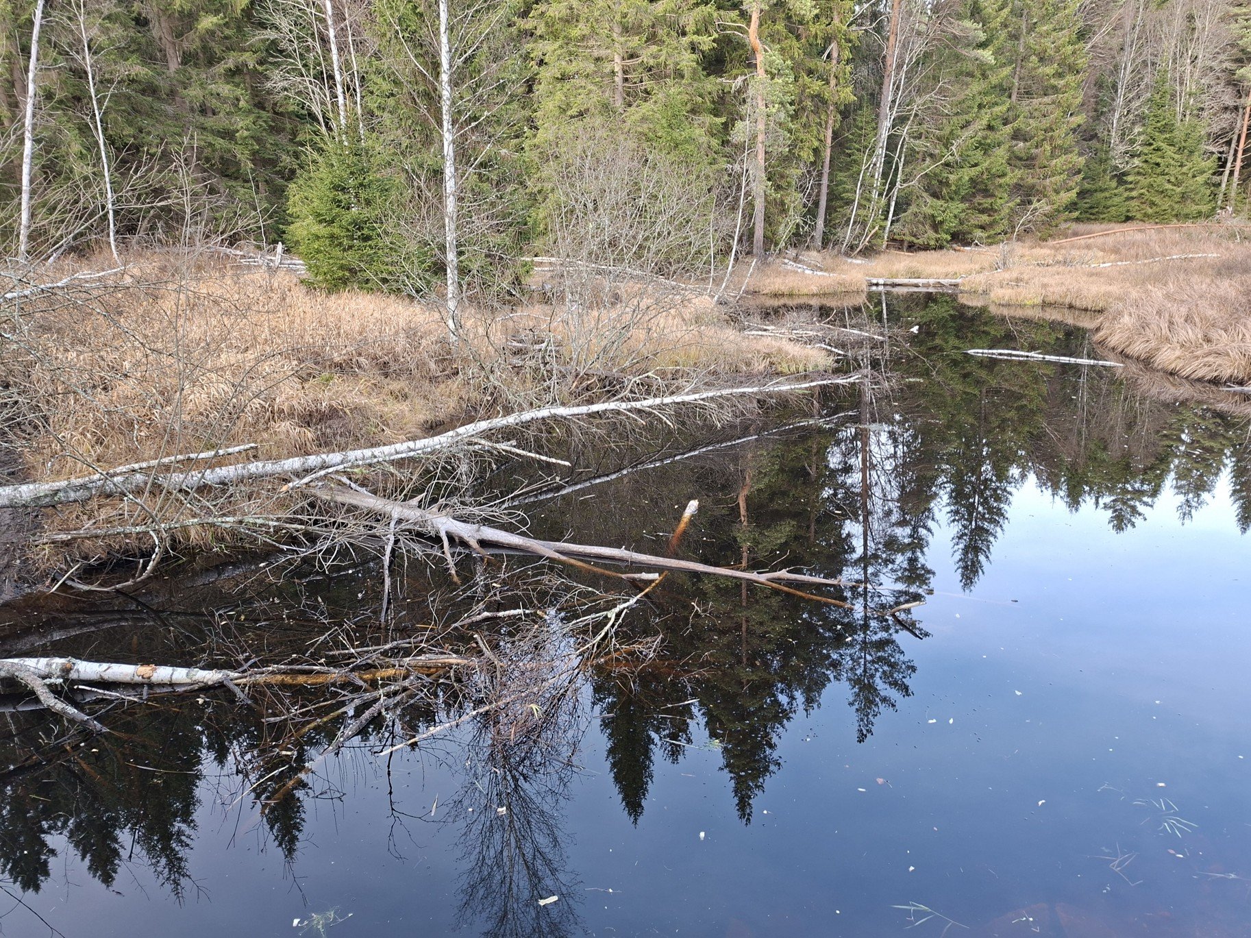 Obrázky ze Šumavy a most přes Vltavu u obce Pěkná