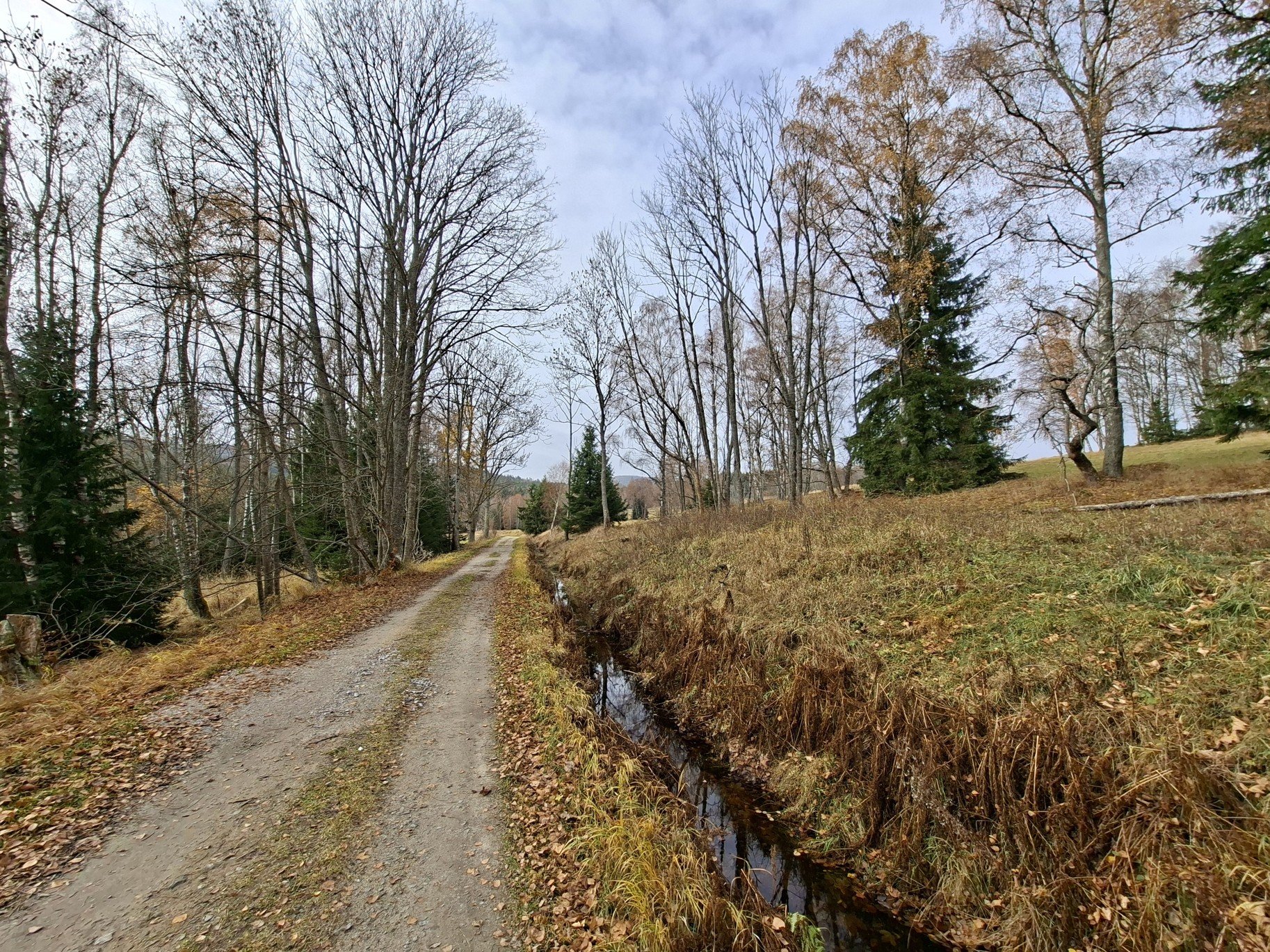 Obrázky ze Šumavy a procházka okolo Schwarzenberského plavebního kanálu