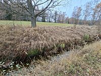 U Schwarzenberského plavebního kanálu