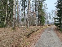 Cesta od rozcestí U Raškova.