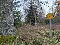 Rozcestí U Raškova.