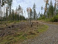 Cesta od rozcestí U Raškova ke kanálu.