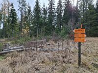 Cesta od rozcestí U Raškova ke kanálu.