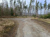 Cesta od rozcestí U Raškova ke kanálu.