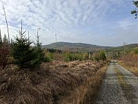 Cesta od rozcestí U Raškova ke kanálu.