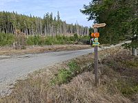 Cesta podél Koňského potoka.