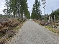 Cesta podél Koňského potoka.