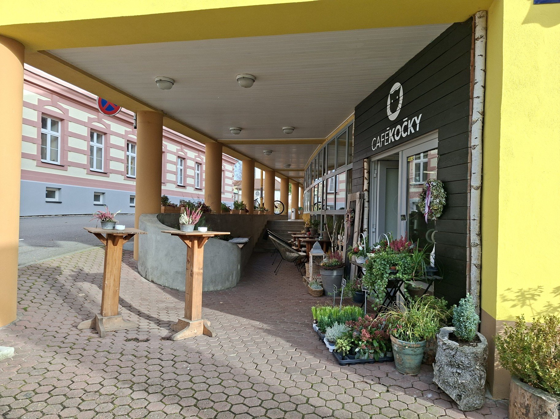 Obrázky ze Šumavy a procházka po Horní Plané a okolí