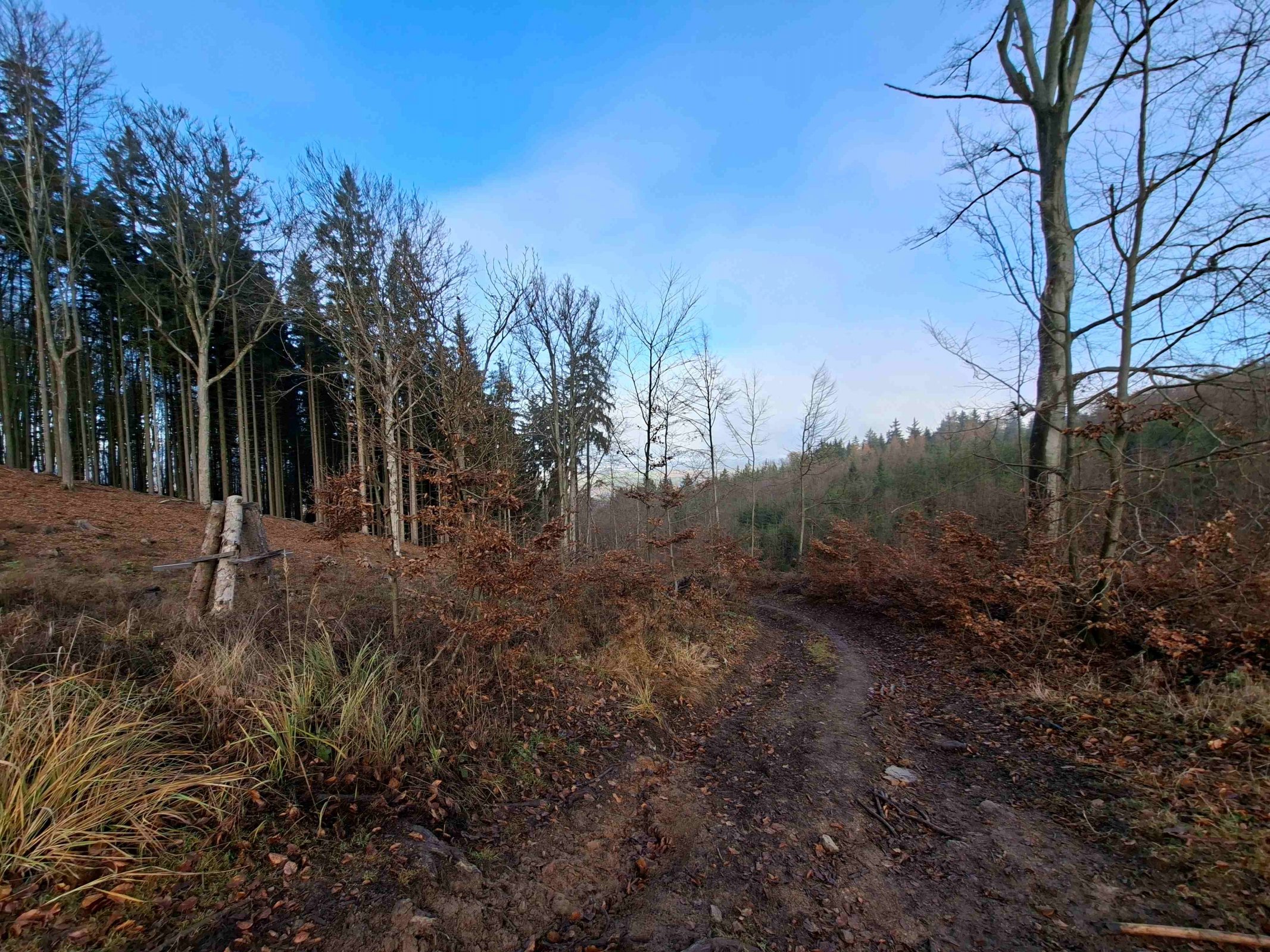 Adventní procházka Lázeňské lesy v okolí Karlových Varů