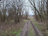 Z Moravských Bránic do Ivančic