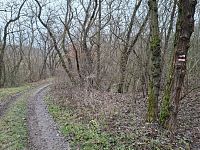 Z Moravských Bránic do Ivančic