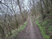 Z Moravských Bránic do Ivančic