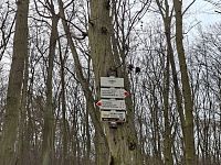 Cesta po pravém břehu