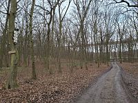 Cesta po pravém břehu