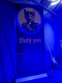 Hudební klub Žlutý pes