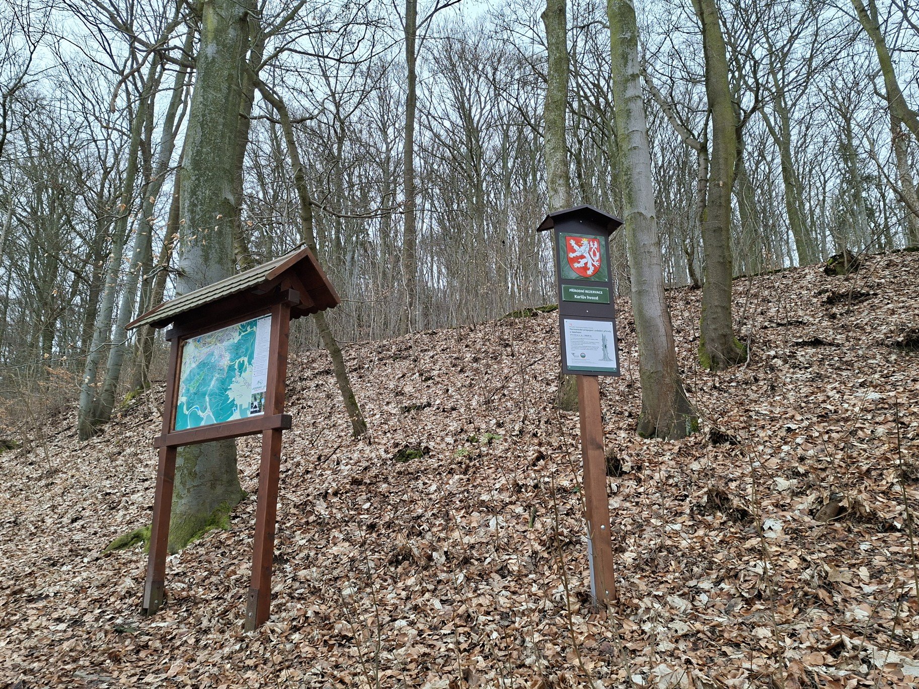 Přírodní rezervace Karlův hvozd v Karlových Varech