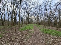 Černošice – skalní útvar a hradiště Kazín