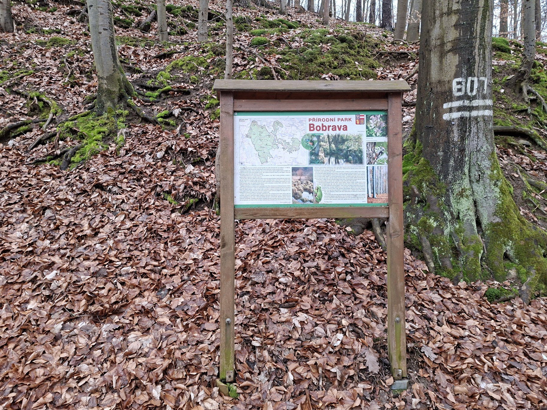 Studánka Svatoplukova v Přírodním parku Bobrava