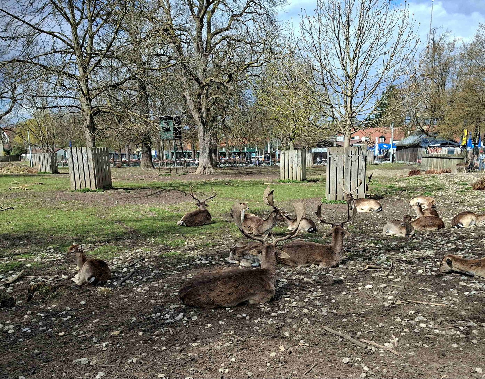 Obrázky z neněmeckého Mnichova a restaurace Königlicher Hirschgarten
