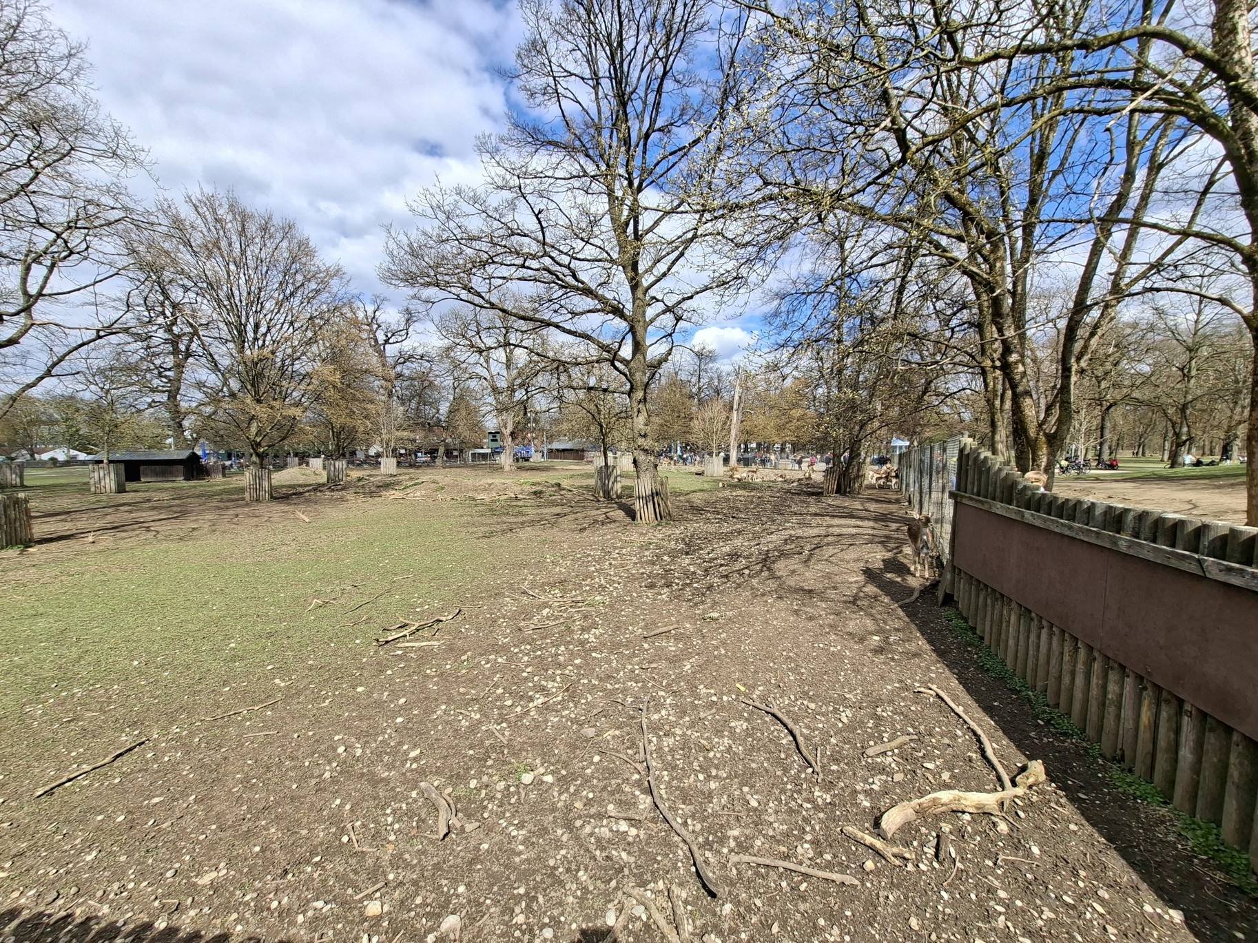 Obrázky z neněmeckého Mnichova a obora Königlicher Hirschgarten