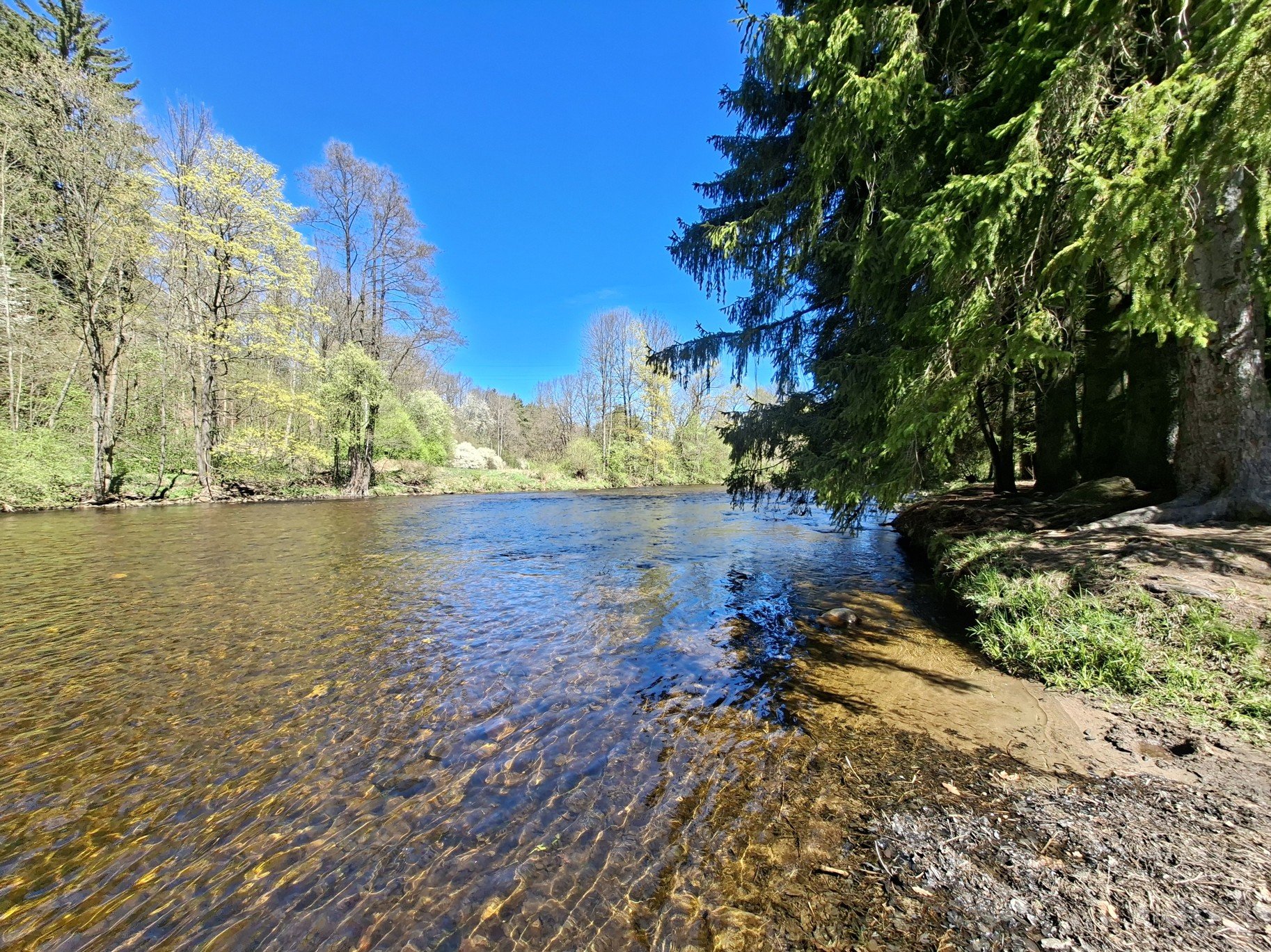 Zlatonosná řeka Otava
