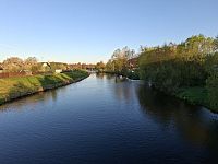 Nad ránem se ozývá mnohohlasný chór představitelů ptačí říše. Někteří zpívají dřív, jiní křičí později.