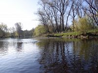 Otava začíná mít charakter nížinné řeky.
