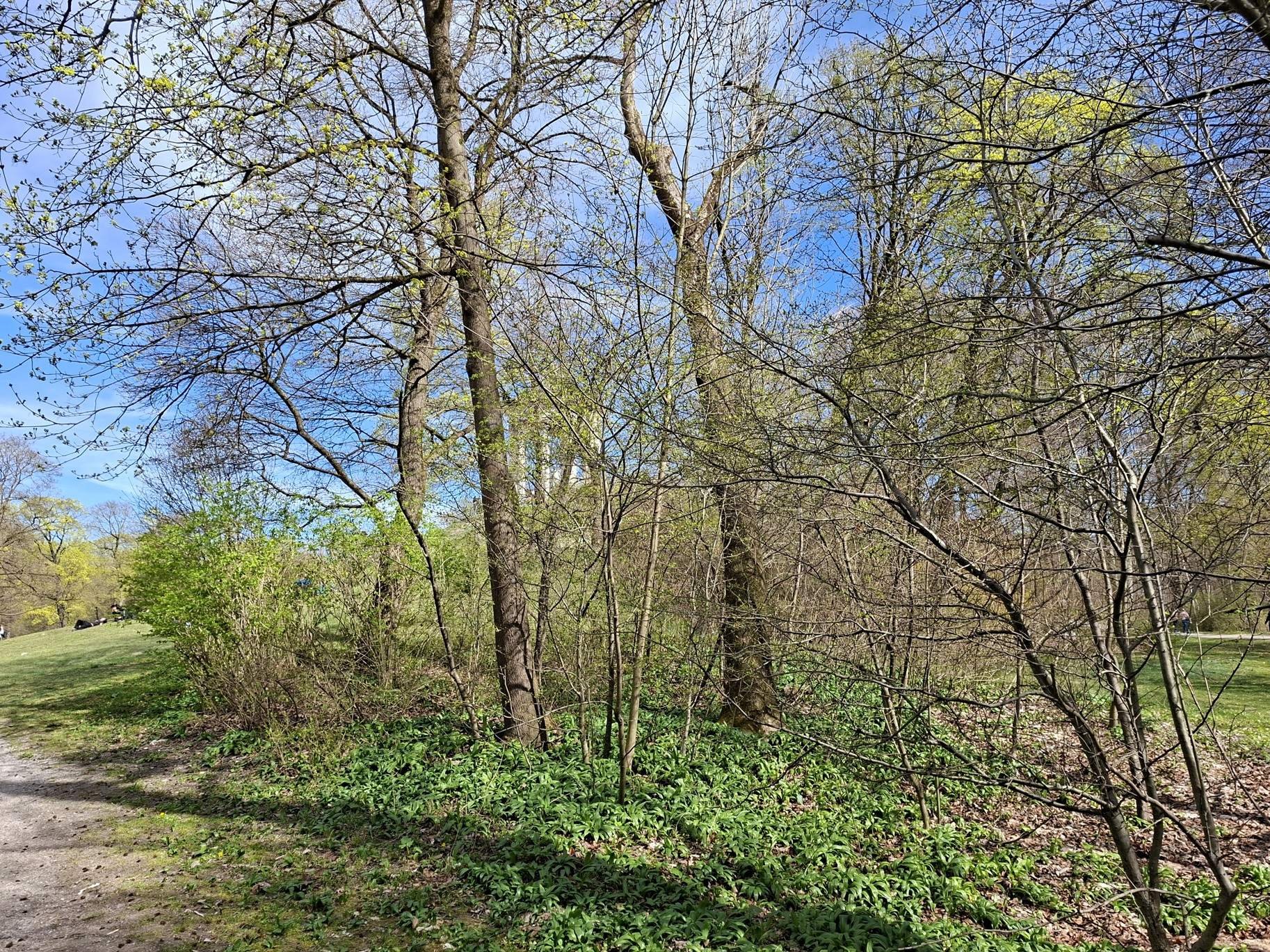 Obrázky z neněmeckého Mnichova a Monopteros v English Garden
