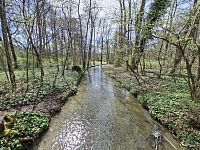 Obrázky z neněmeckého Mnichova a Hirschau v Englischer Garten
