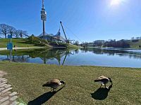Obrázky z neněmeckého Mnichova a Skylift Tower