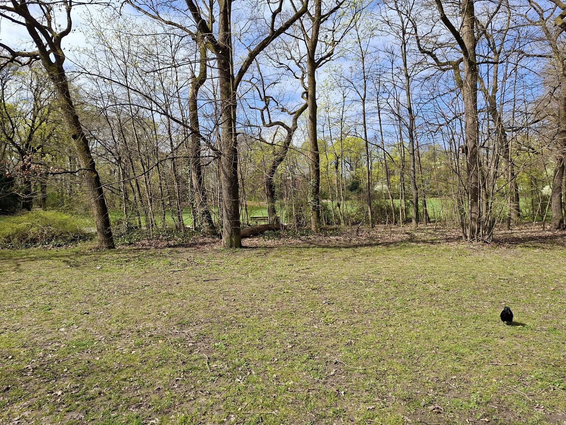 Obrázky z neněmeckého Mnichova a Bavariapark
