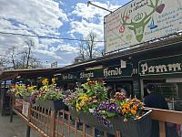 Königlicher Hirschgarten